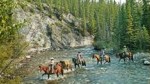Horseback trail rides in the Banff National Park