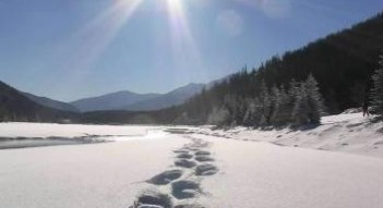 Kananaskis Outfitters, snowshoeing Kananaskis, snow shoe Kananaskis, winter activities Kananaski, guided snowshoe tour Kananaskis