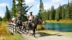 Horseback trail rides in the Banff National Park
