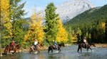 Horseback trail rides in the Banff National Park